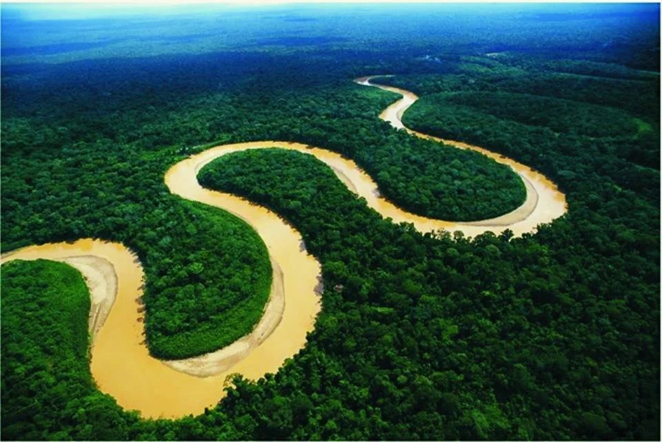 Amazon Rain Forest