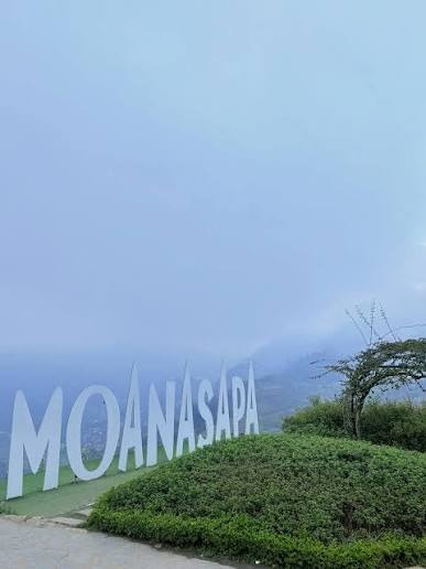 Moana SAPA